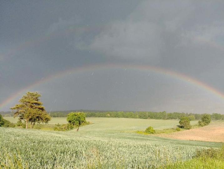 Foto&#x3a;&#x20;Alicja&#x20;Sztukowska
